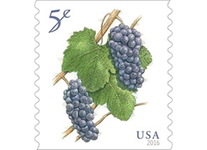 2016 is an Excellent Year for Grapes Stamps