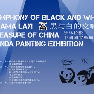 Symphony of Black and White: Shama Layi•Treasure of China