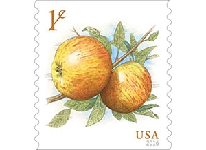 New 1-Cent Apples Stamp is Always Ripe for Mailing